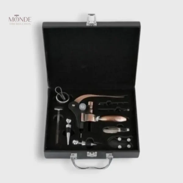 Coffret en cuir avec tire-bouchon professionnel en bronze