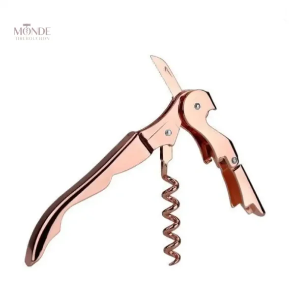 Outil compact pour extraire le jus des agrumes
