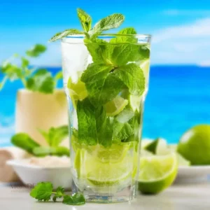 Verre cocktail Mojito, idéal pour servir des mojitos rafraîchissants
